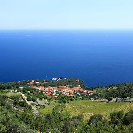 Seaside Holiday House Sveta Nedilja, Hvar - 17351 펜션 젤사